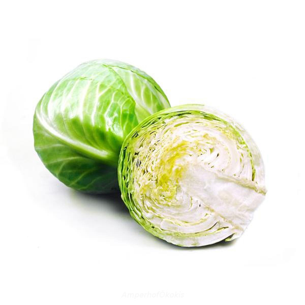 Produktfoto zu Weißkraut, -kohl  Neue Ernte