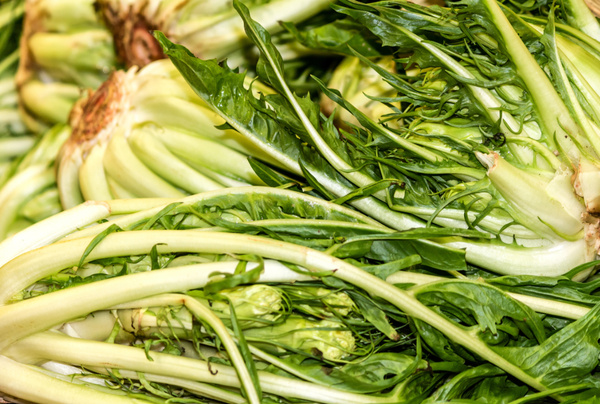 Puntarelle
