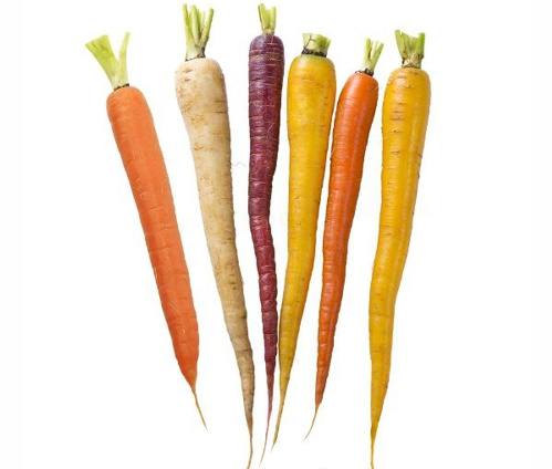 Bunte-Möhren-KW40