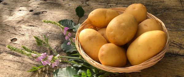 Kartoffeln
