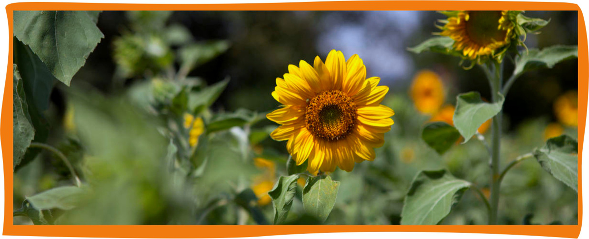 Kundenbrief KW 38/25