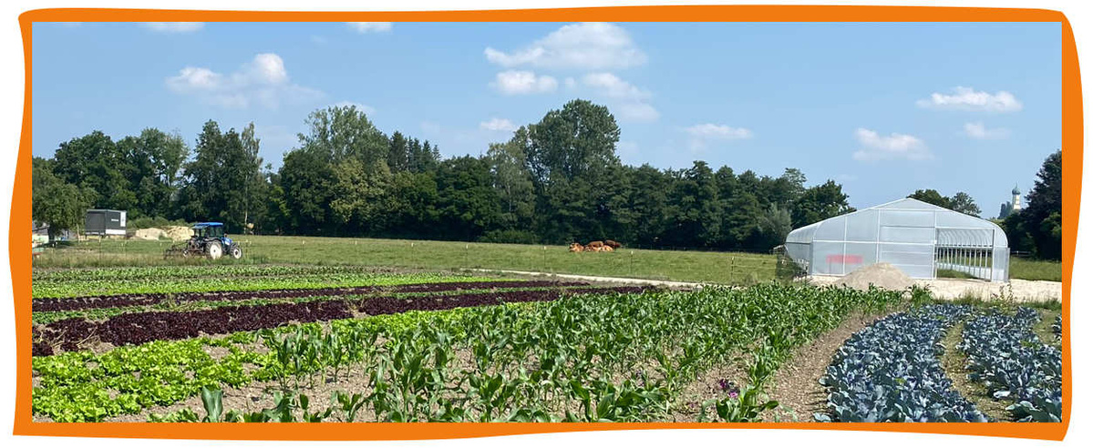 Landwirtschaft am Amperhof