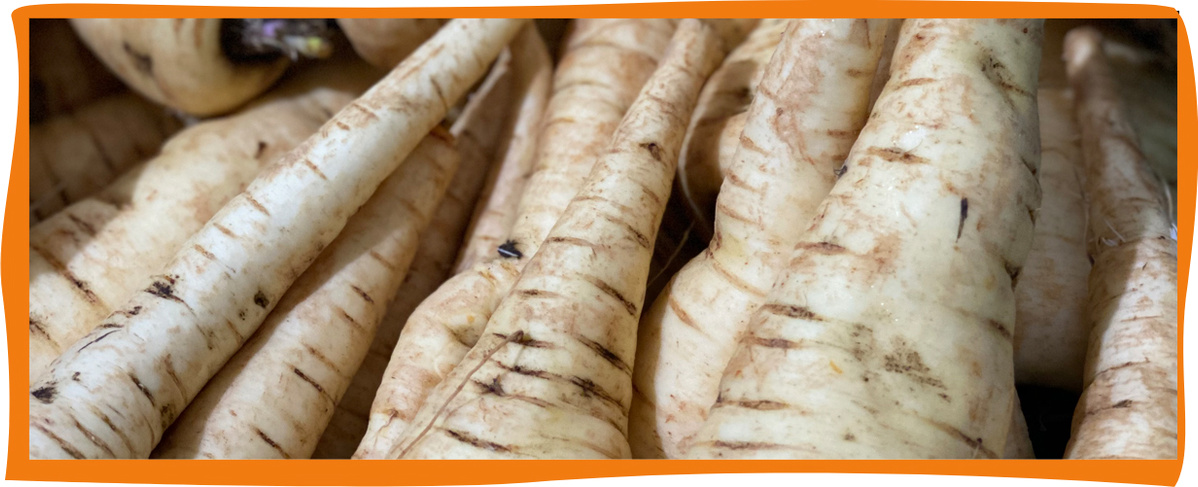 KI generiert: Nahaufnahme von Pastinaken in einem orange umrahmten Bild.