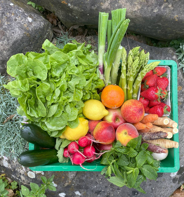 Entdecken Sie unsere verschiedenen Ökokisten