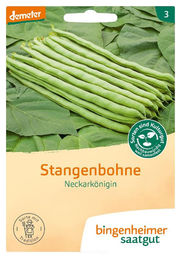 Produktfoto zu Saat: Stangenbohne Neckarkönigin