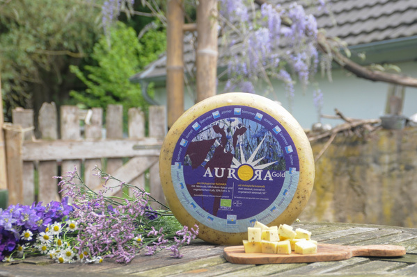 Maigouda mit der ersten Weidemilch