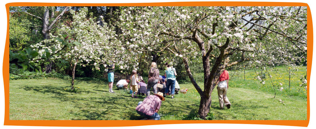 Gruppe von Menschen unter blühenden Obstbäumen in einem Garten.