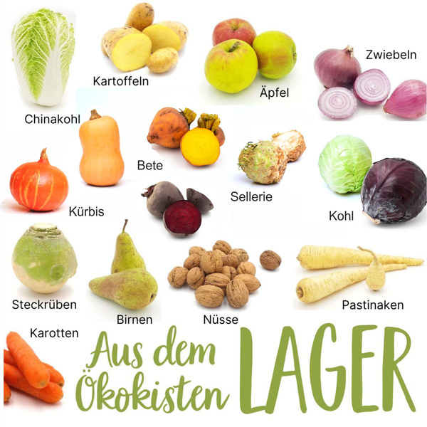 Saisonkalender Januar Lager