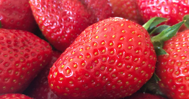 Erdbeeren