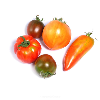 Produktfoto zu Fleischtomaten Mix ca. 500g Schale