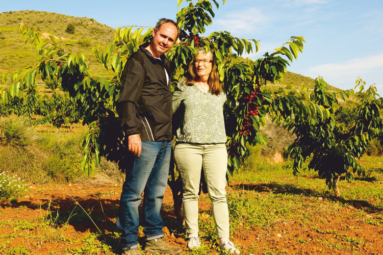 Kirschen von José Felix aus Spanien