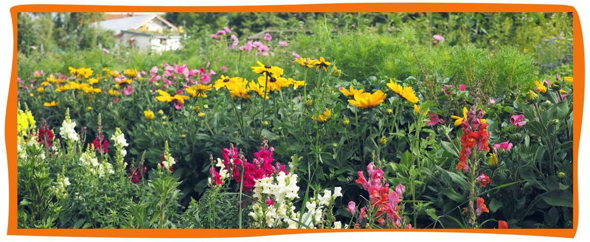 KI generiert: Das Bild zeigt einen blühenden Garten mit einer Vielzahl von bunten Blumen, darunter gelbe, rosa, weiße und orangefarbene Blüten. Im Hintergrund sind grüne Pflanzen und ein kleines Gebäude sichtbar.