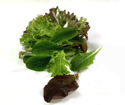 Produktfoto zu Pflücksalat, Schnittsalat ca.150g