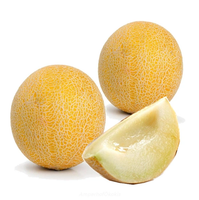 Galia Melone