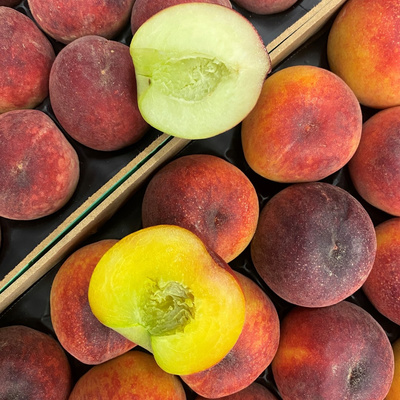 Weiße und gelbe Pfirsiche aus der Nähe von Sevilla