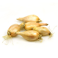 KI generiert: Fünf Schalotten liegen auf einem weißen Hintergrund.