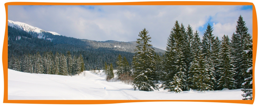 Kundenbrief als PDF öffnen