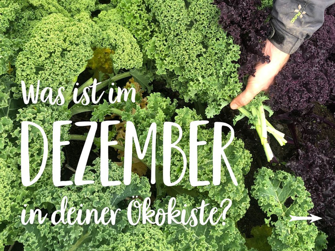 Saisonkalender Dezember
