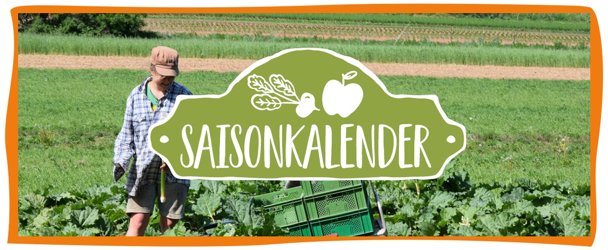 Saisonkalender Mai Header