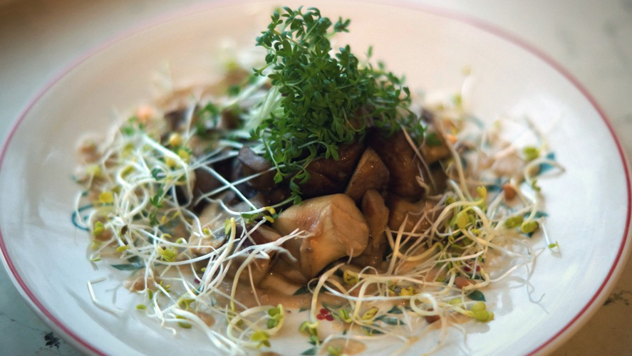 Rezeptbild für Gebratene Pilze mit Falafel in Erdnusssauce mit Kräuter