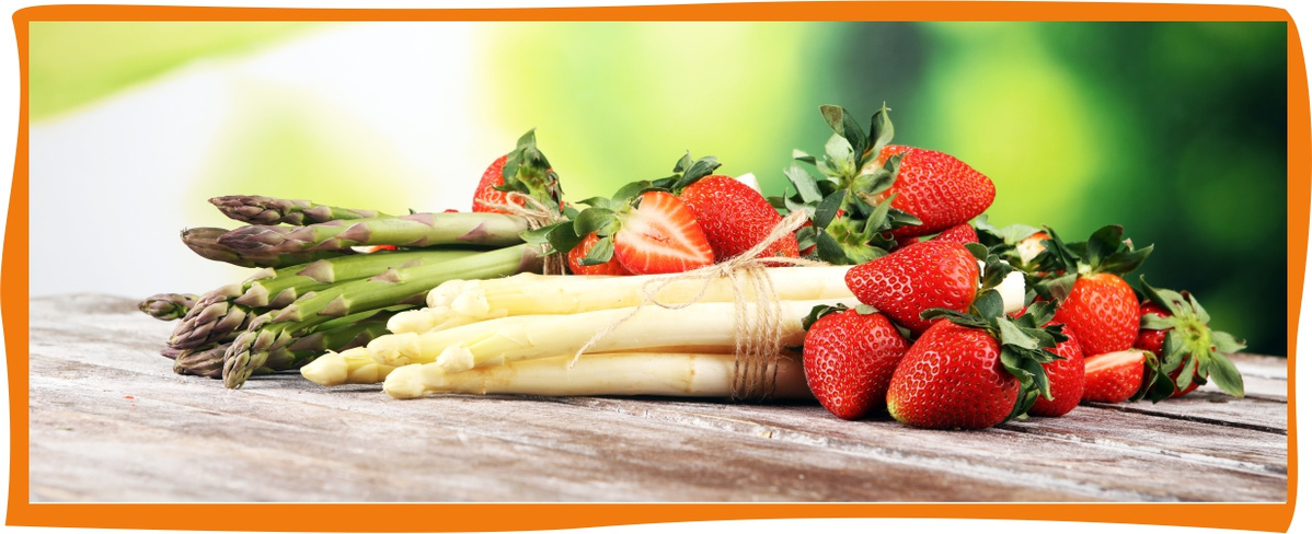 Kundenbrief als PDF öffnen