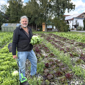 Salate und mehr vom Amperhof