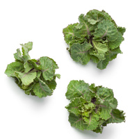 Flower sprouts