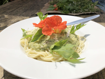 Stöbern Sie in den Rezepten.