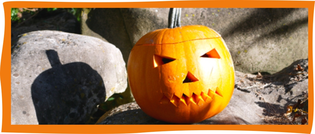 Kundenbrief als PDF öffnen