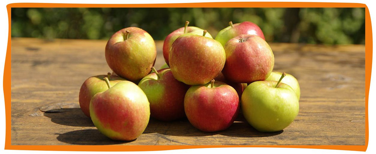 Kundenbrief als PDF öffnen