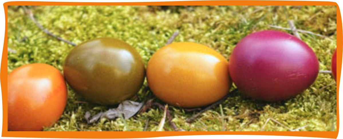 Kundenbrief als PDF öffnen