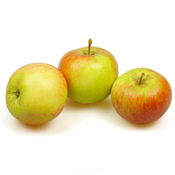 Produktfoto zu Äpfel Collina   Neue Ernte