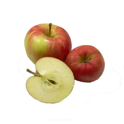 Produktfoto zu Äpfel Deljonca Neue Ernte
