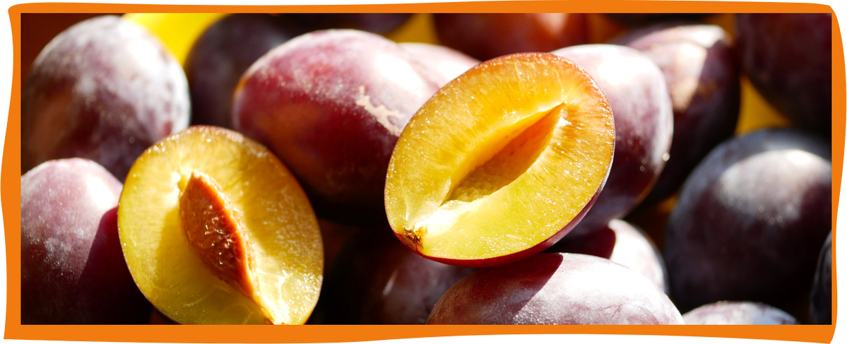 KI generiert: Nahaufnahme von Pflaumen, einige sind halbiert und zeigen das Fruchtfleisch und den Kern.