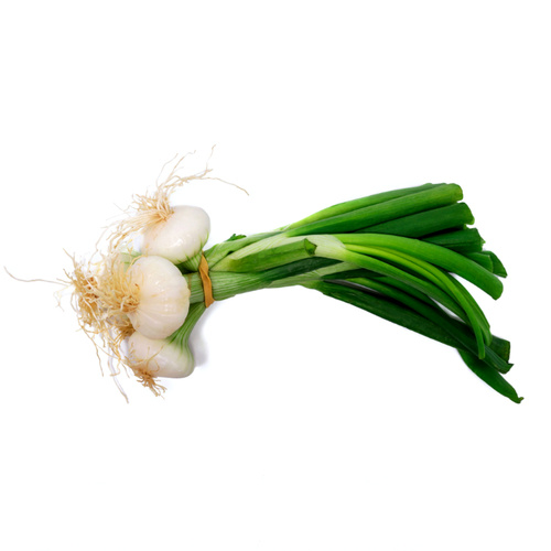 KI generiert: Ein Bund Frühlingszwiebeln mit grünen Stielen und weißen Zwiebelknollen.