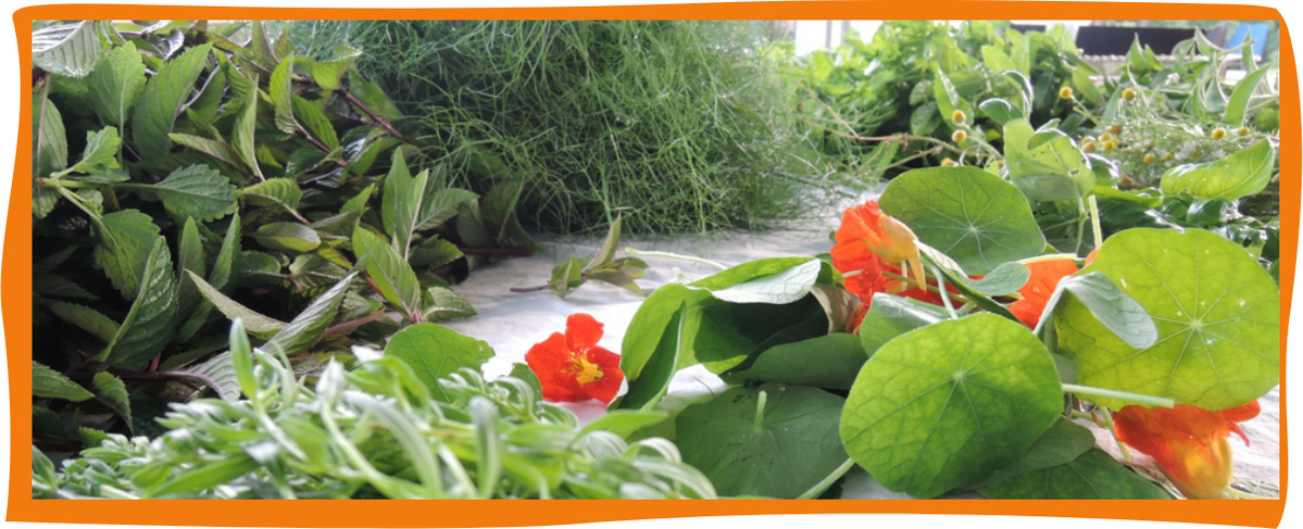 Kundenbrief KW 30/25