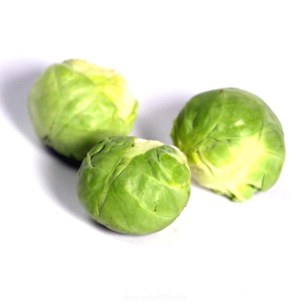 Produktfoto zu Rosenkohl mit Blattflecken