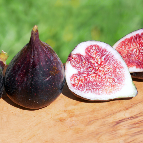 Frische Feigen