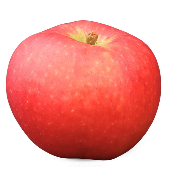 Produktfoto zu Apfel Deichperle