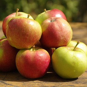 Neue Äpfel