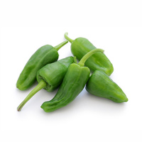 KI generiert: Das Bild zeigt eine Gruppe von fünf grünen Paprikaschoten auf einem weißen Hintergrund. Sie sind frisch und haben einen glänzenden, glatten Look.