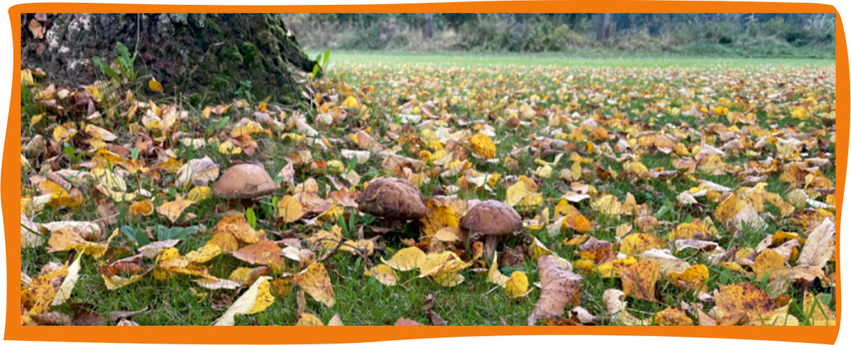 Kundenbrief KW 47/25