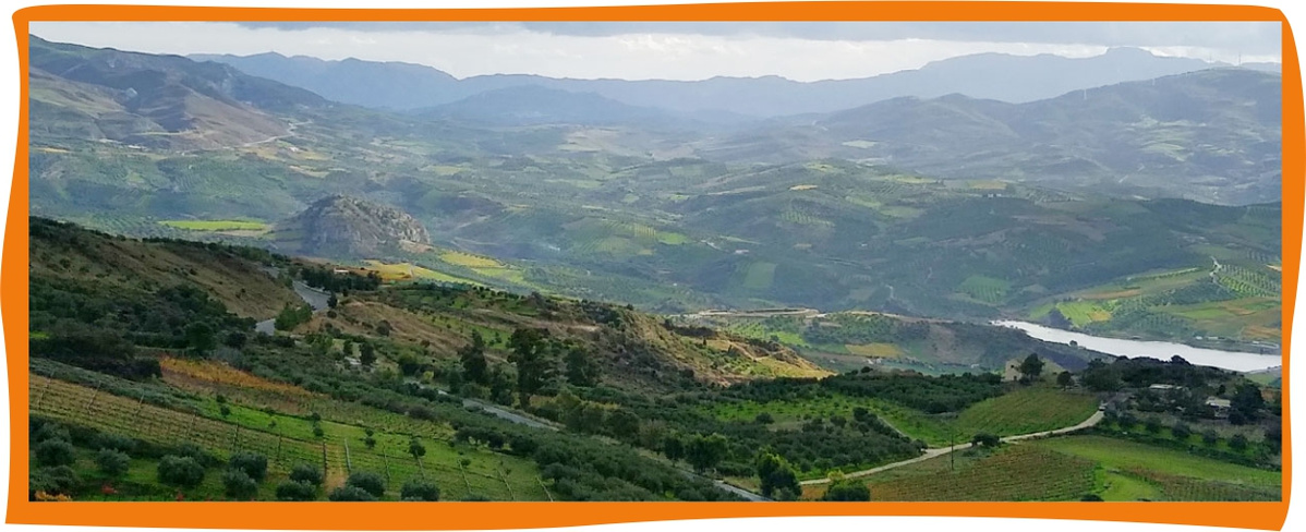 Ölkännchen aus Berlin