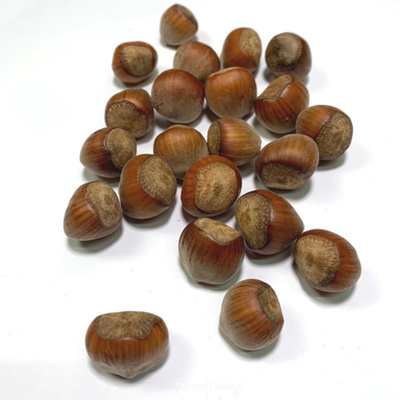Produktfoto zu Haselnüsse mit Schale ca. 250g