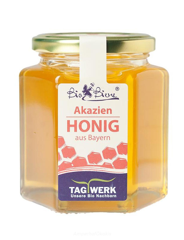 Produktfoto zu Akazienhonig 490 g