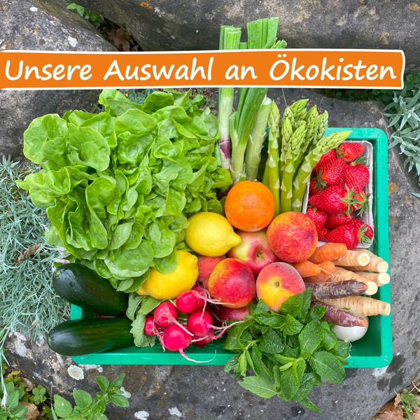 Entdecken Sie unsere verschiedenen Ökokisten
