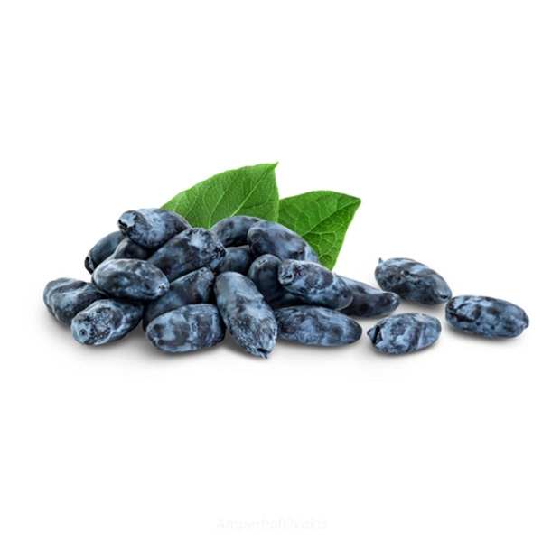 Produktfoto zu Haskap-Beeren ca, 150g Schale