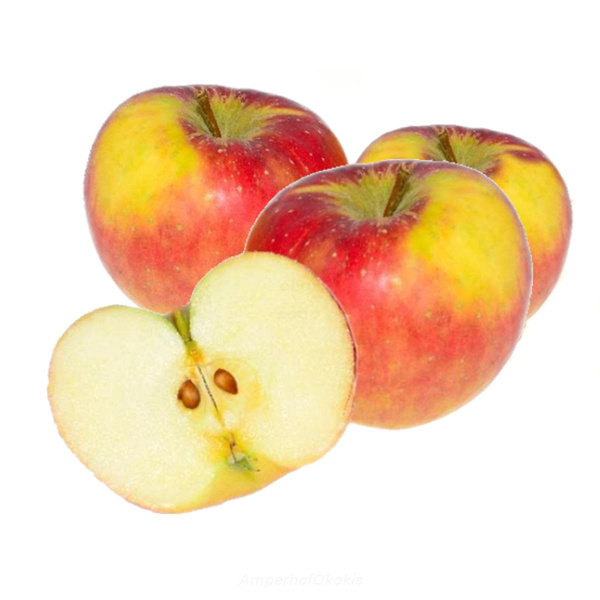 Produktfoto zu Äpfel Topaz 5kg