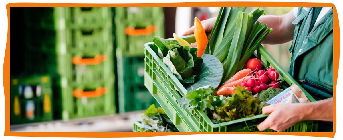 Bio-Obst und -Gemüse frisch vom Feld bis zu Ihnen nach Hause geliefert - unser Verband Ökokiste e. V.