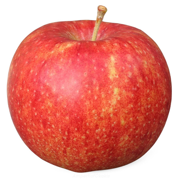 Produktfoto zu Apfel Roter Altländer
